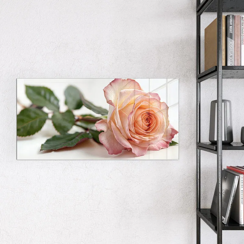 Magnettafel - Rose in Apricot