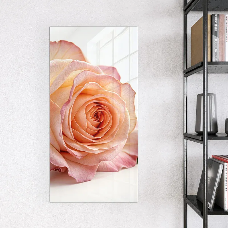 Magnettafel - Rose in Apricot