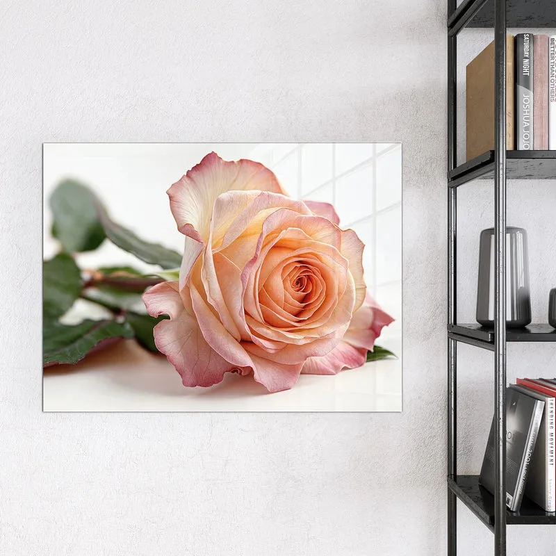 Magnettafel - Rose in Apricot