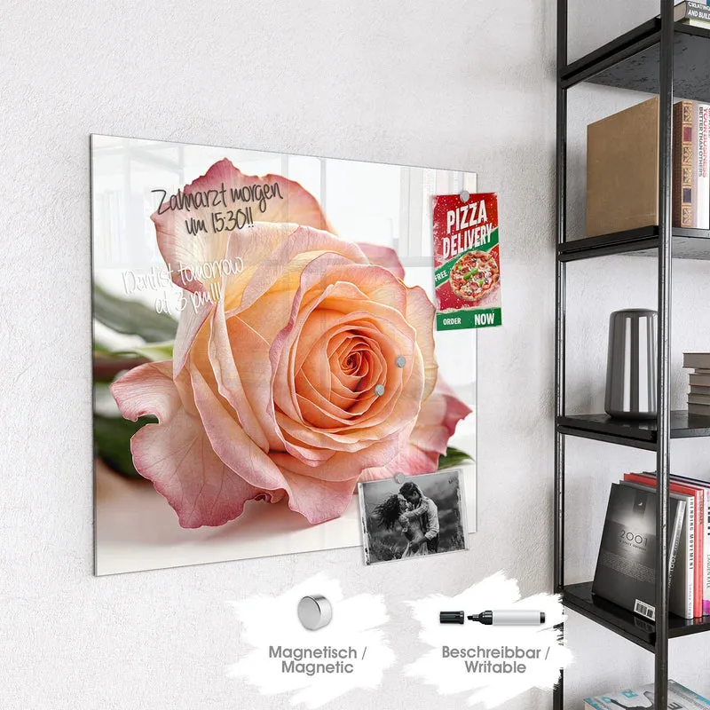 Magnettafel - Rose in Apricot