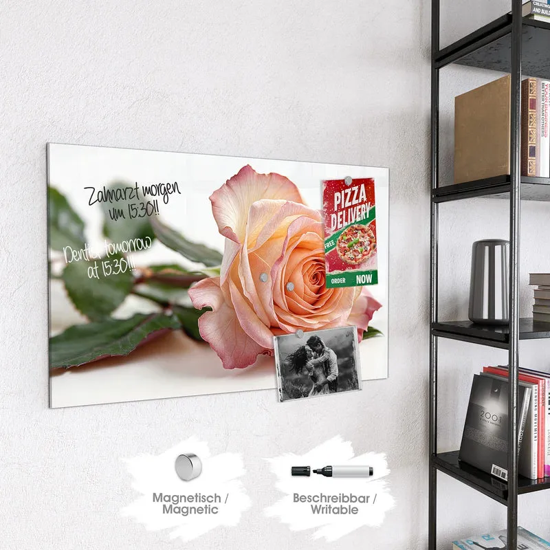 Magnettafel - Rose in Apricot