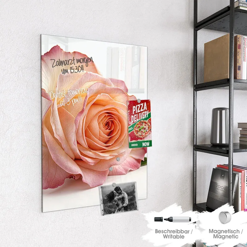 Magnettafel - Rose in Apricot