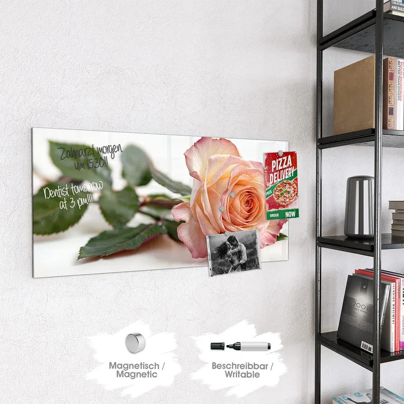 Magnettafel - Rose in Apricot