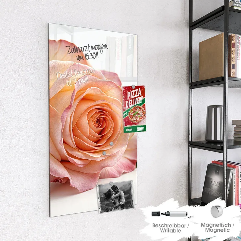 Magnettafel - Rose in Apricot