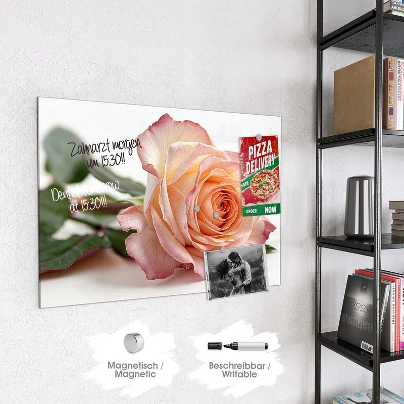 Magnettafel - Rose in Apricot