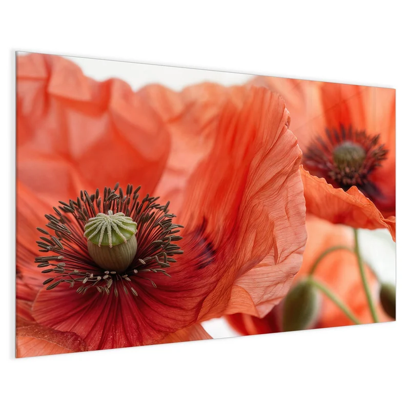 Magnettafel - Mohnblüten