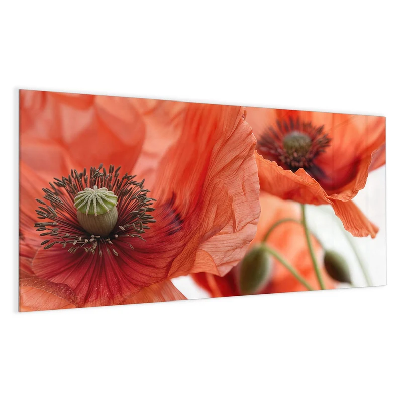 Magnettafel - Mohnblüten