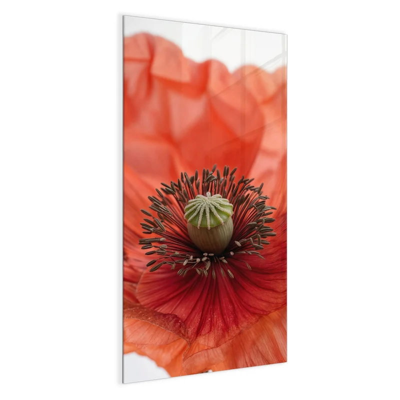 Magnettafel - Mohnblüten