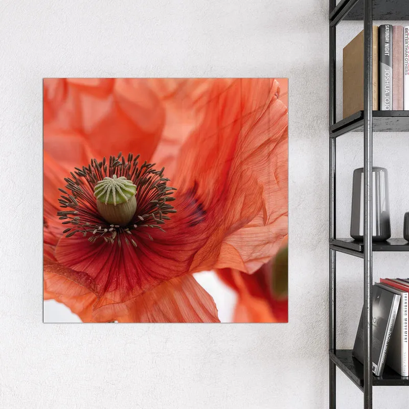 Magnettafel - Mohnblüten