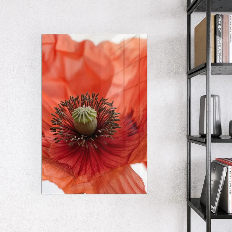 Magnettafel - Mohnblüten