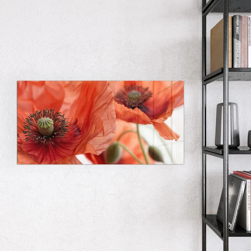 Magnettafel - Mohnblüten