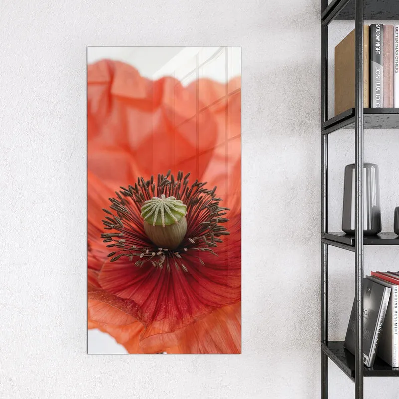 Magnettafel - Mohnblüten