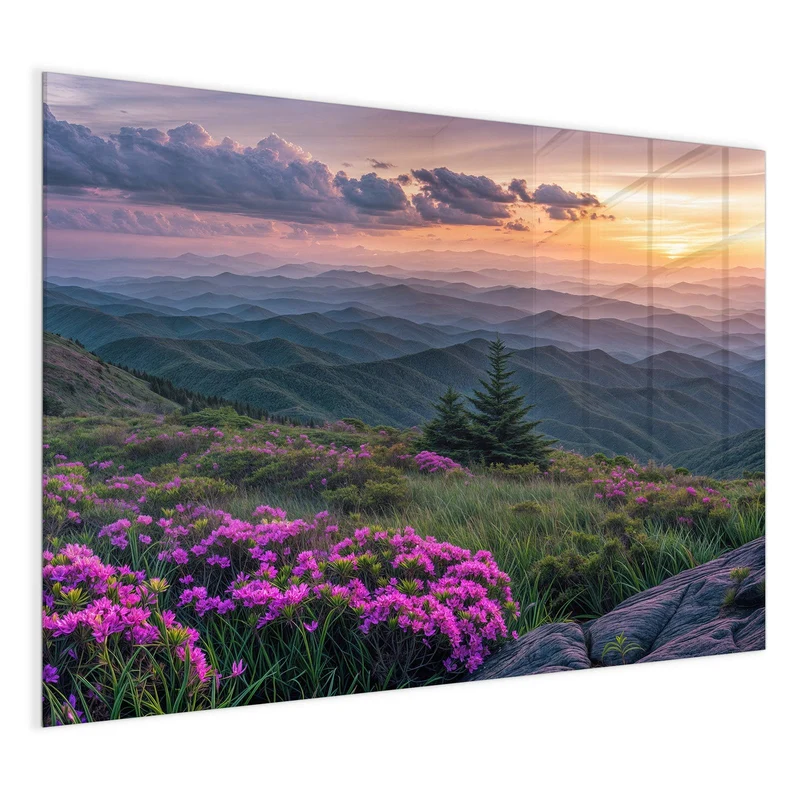 Magnettafel - Blüten vor Bergketten