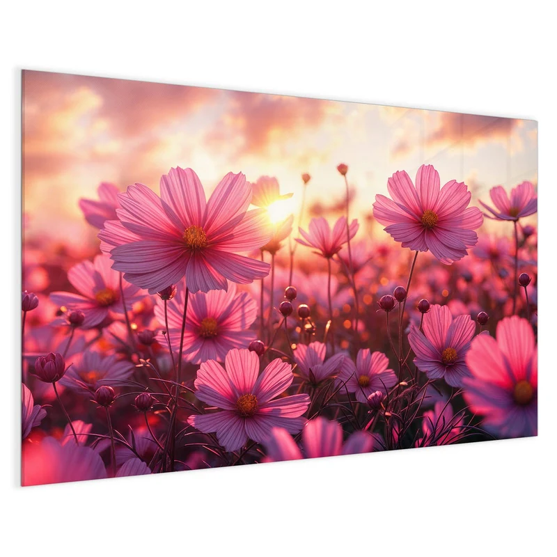Magnettafel - Cosmeen im Abendlicht