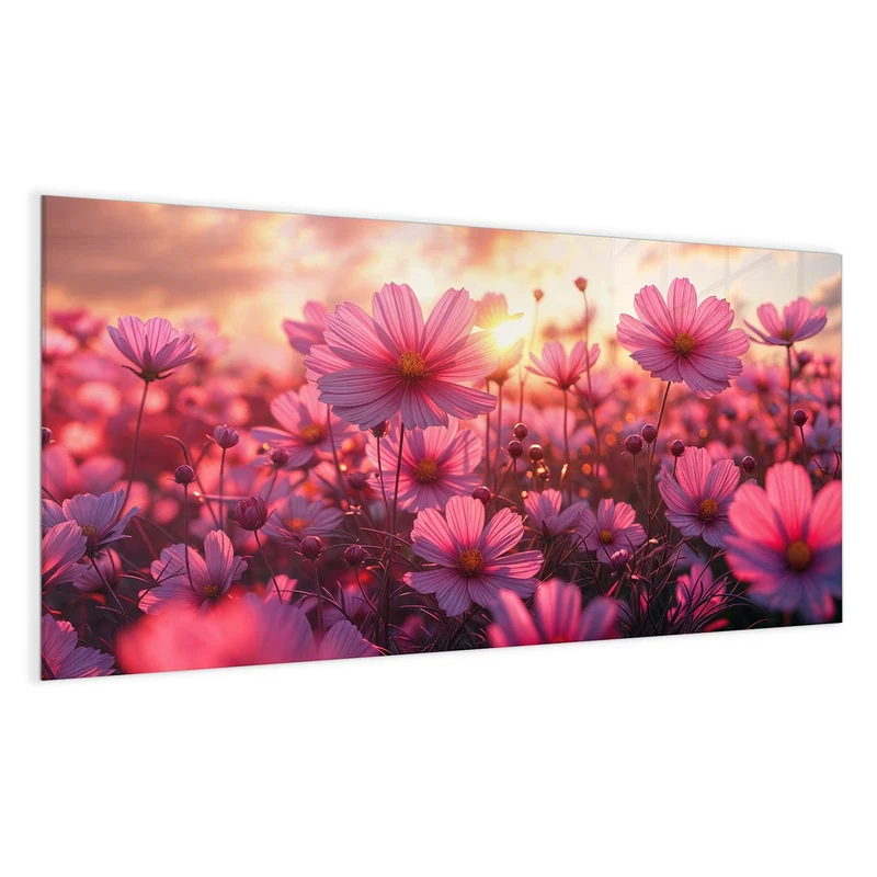 Magnettafel - Cosmeen im Abendlicht