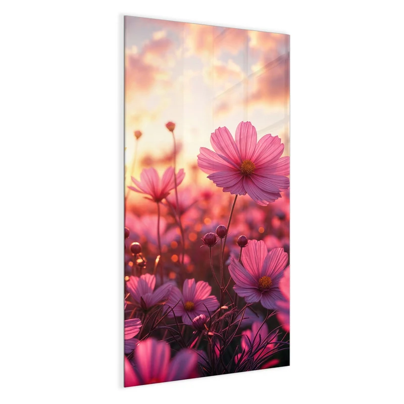 Magnettafel - Cosmeen im Abendlicht
