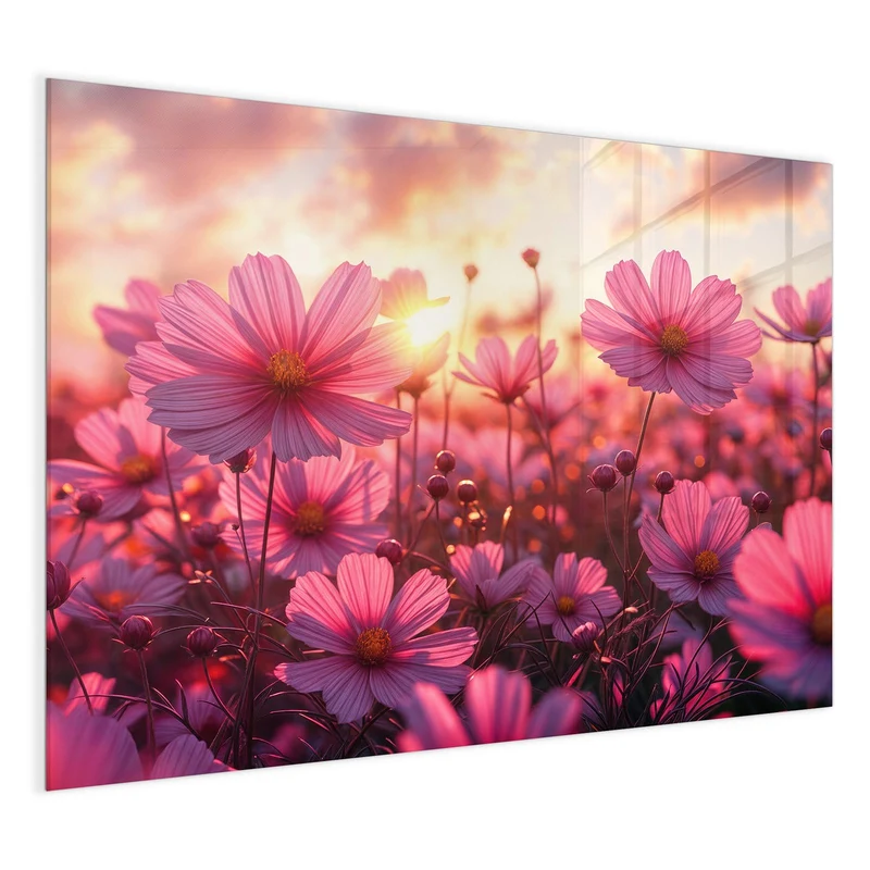 Magnettafel - Cosmeen im Abendlicht