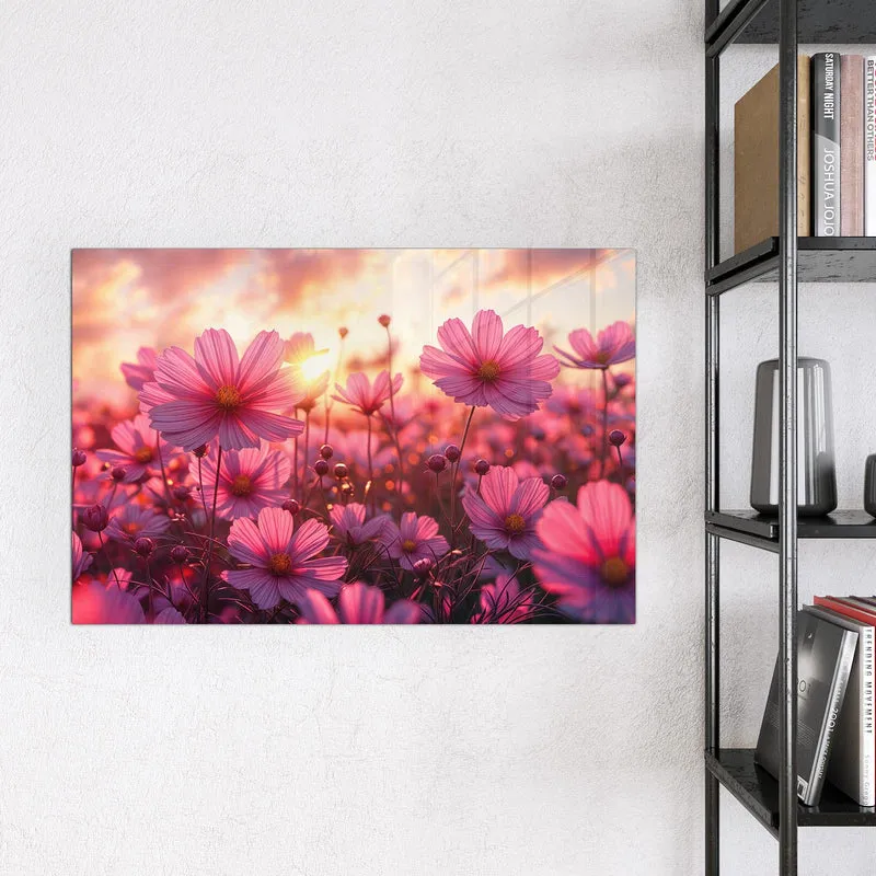 Magnettafel - Cosmeen im Abendlicht