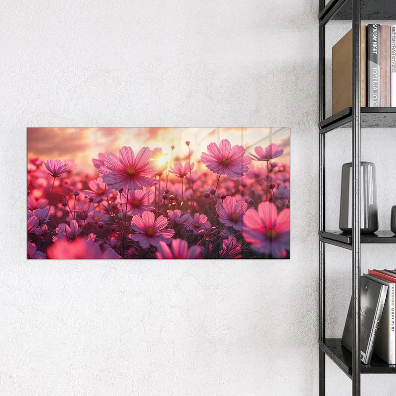 Magnettafel - Cosmeen im Abendlicht