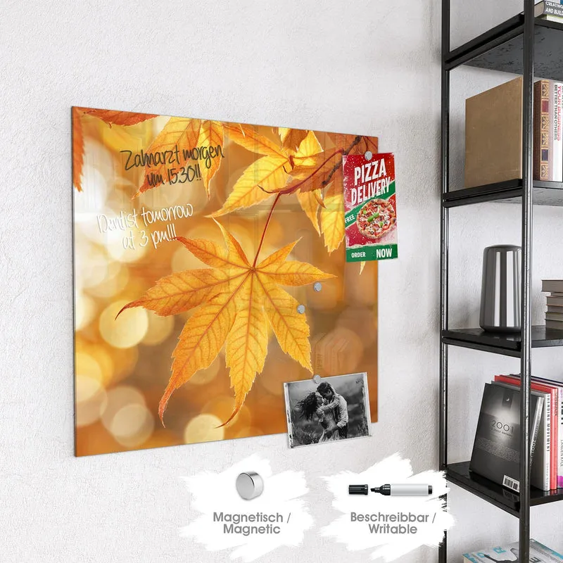 Magnettafel - Ahorn im Gegenlicht