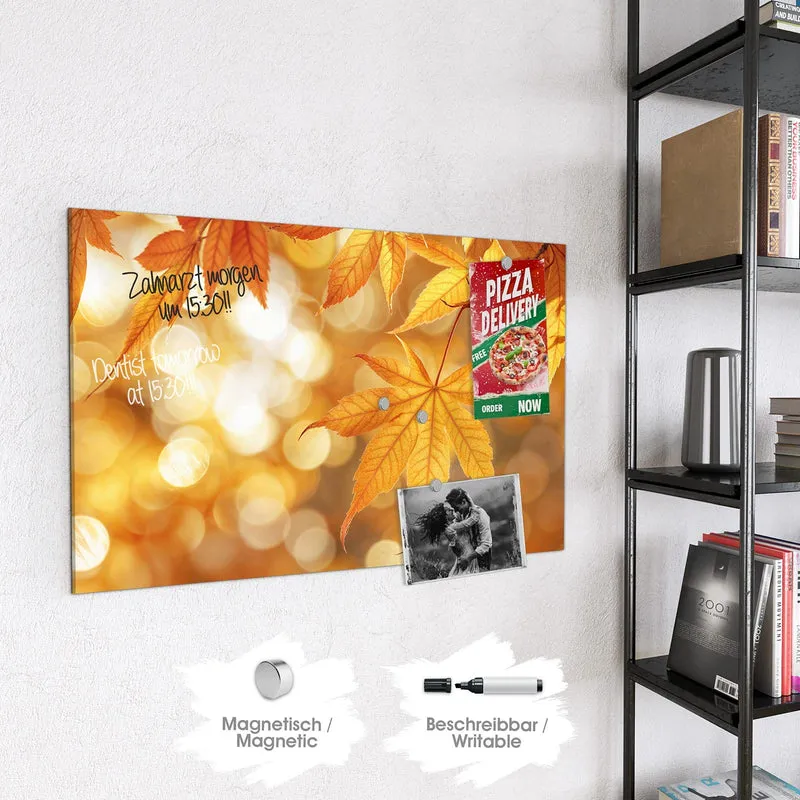 Magnettafel - Ahorn im Gegenlicht