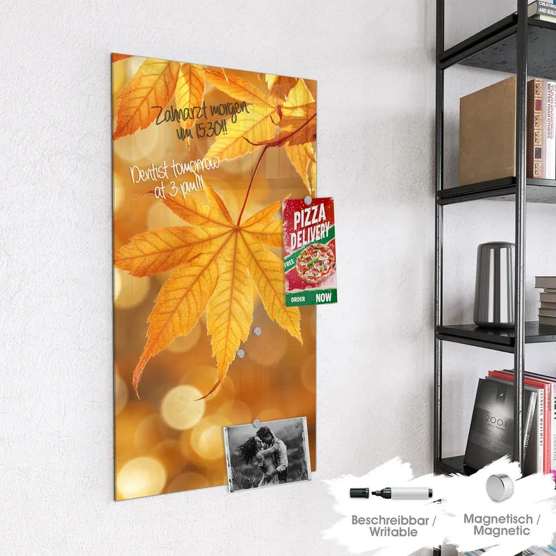 Magnettafel - Ahorn im Gegenlicht