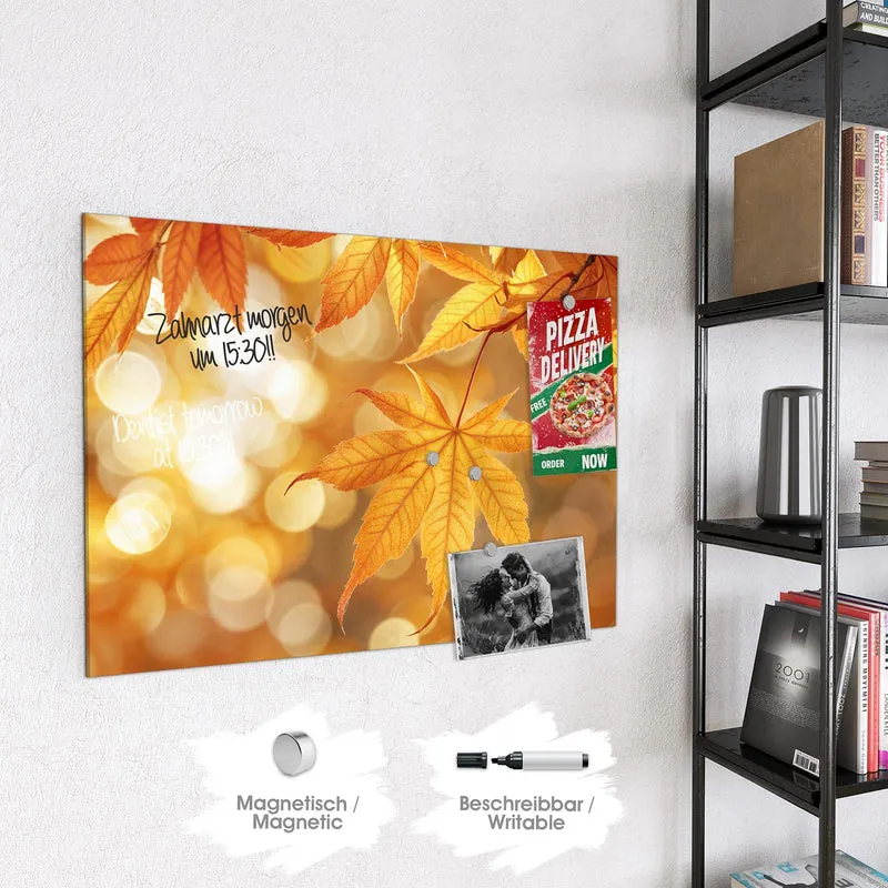 Magnettafel - Ahorn im Gegenlicht