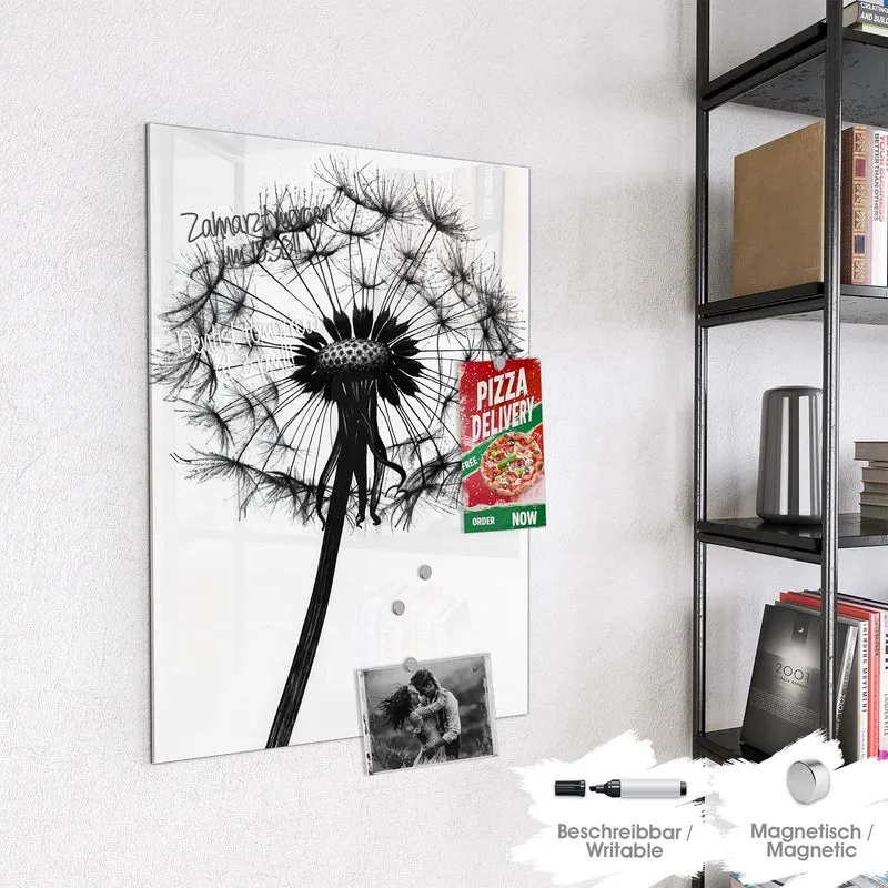 Magnettafel - Pusteblume auf Weiß
