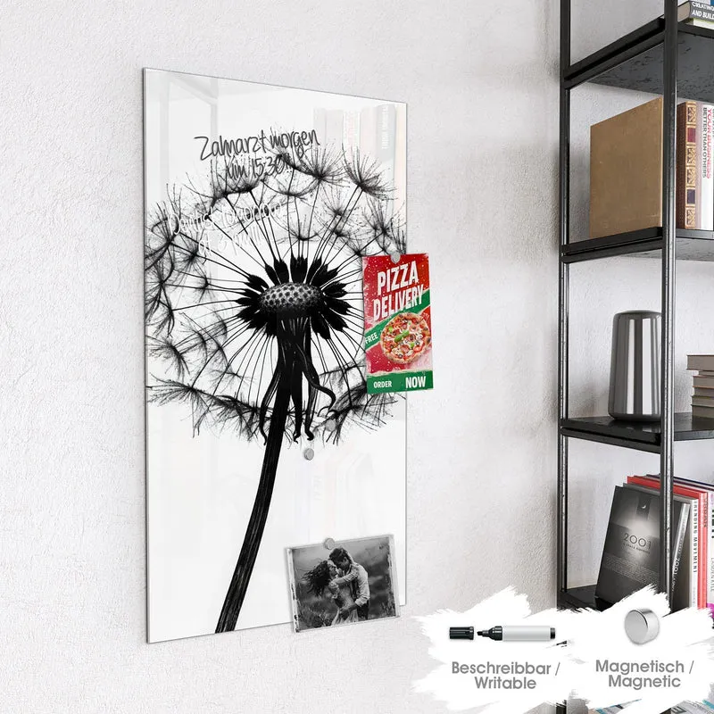 Magnettafel - Pusteblume auf Weiß