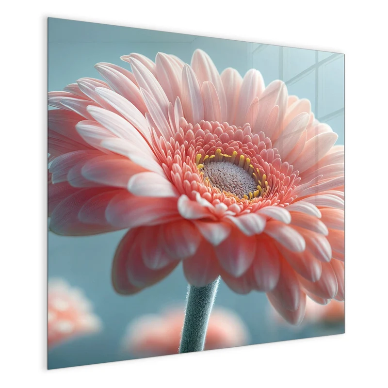 Magnettafel - Rosa Gerbera