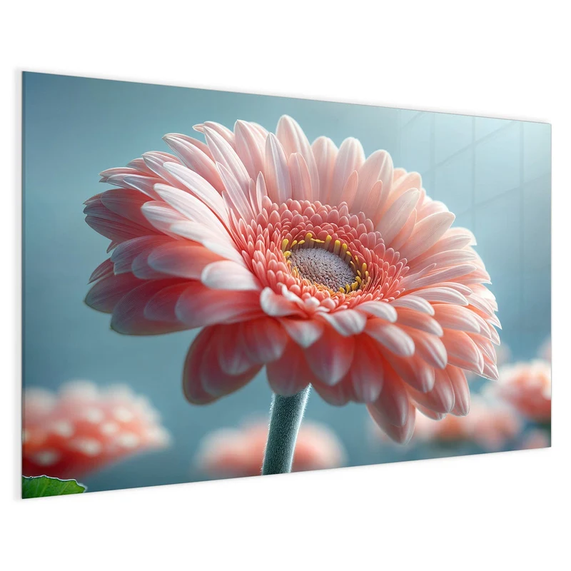 Magnettafel - Rosa Gerbera