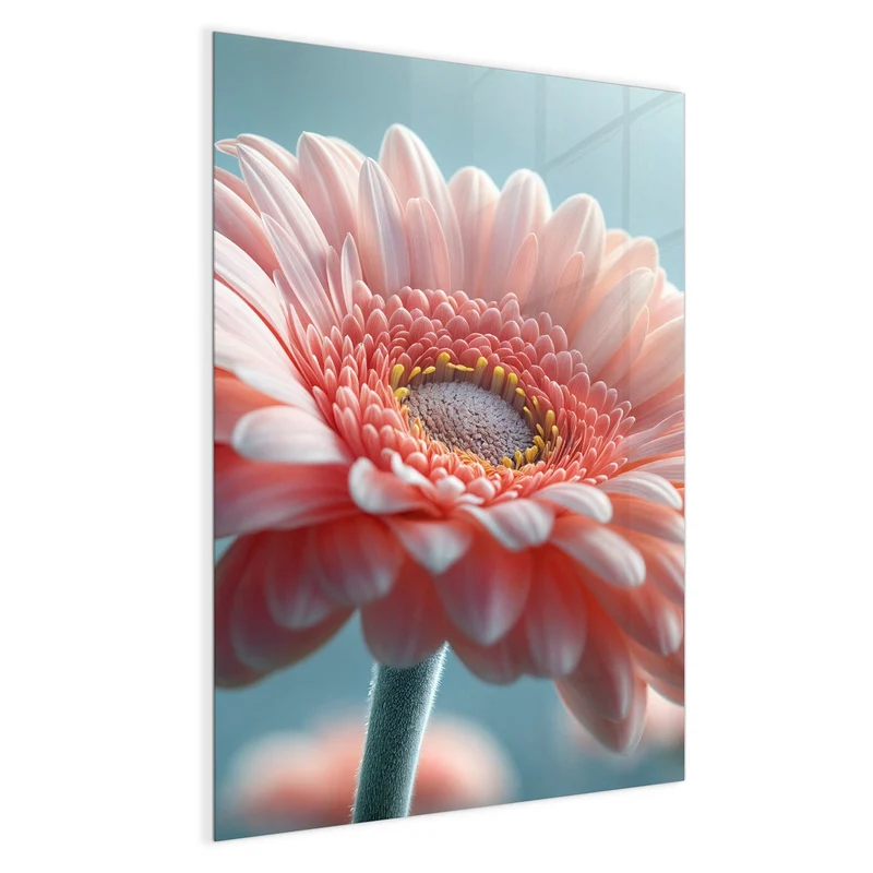 Magnettafel - Rosa Gerbera