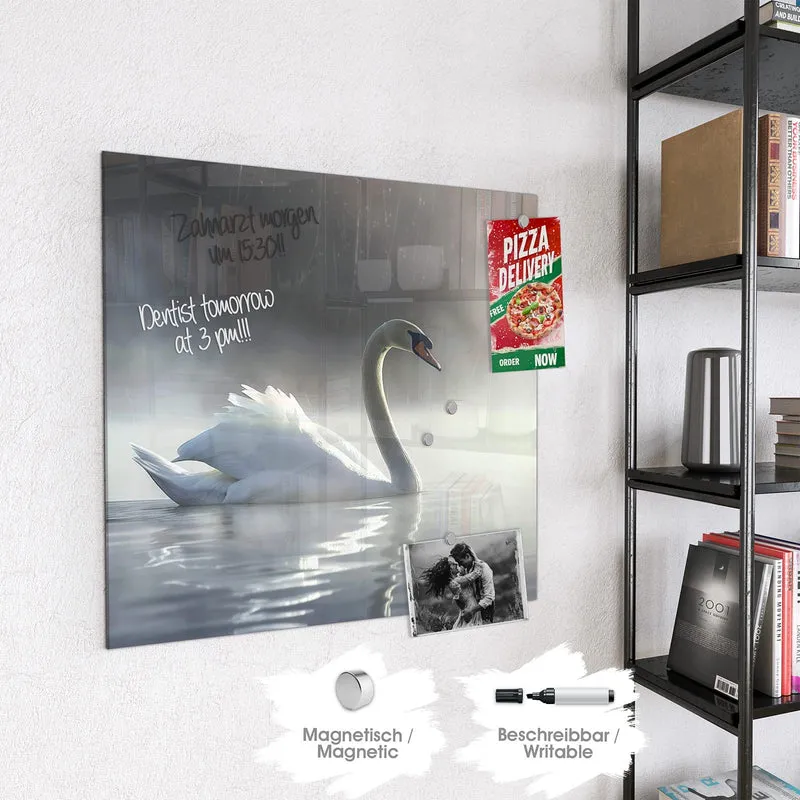 Magnettafel - Schwimmender Schwan