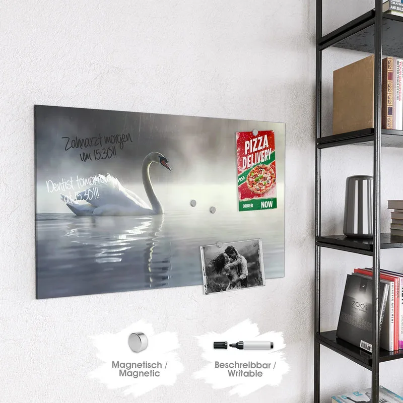 Magnettafel - Schwimmender Schwan