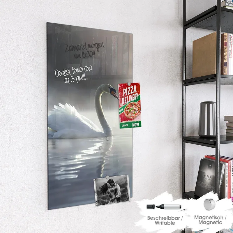 Magnettafel - Schwimmender Schwan