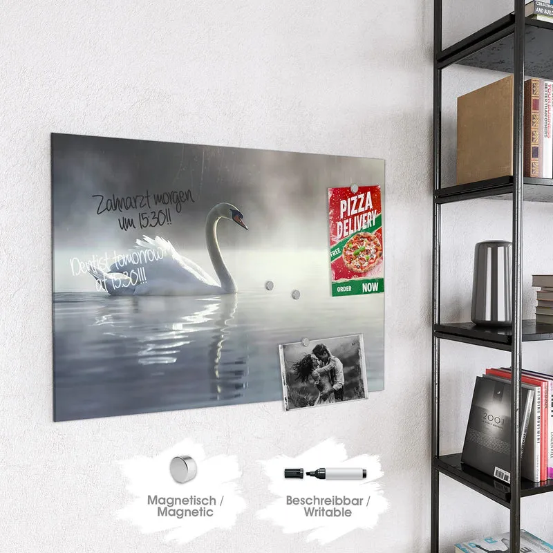 Magnettafel - Schwimmender Schwan