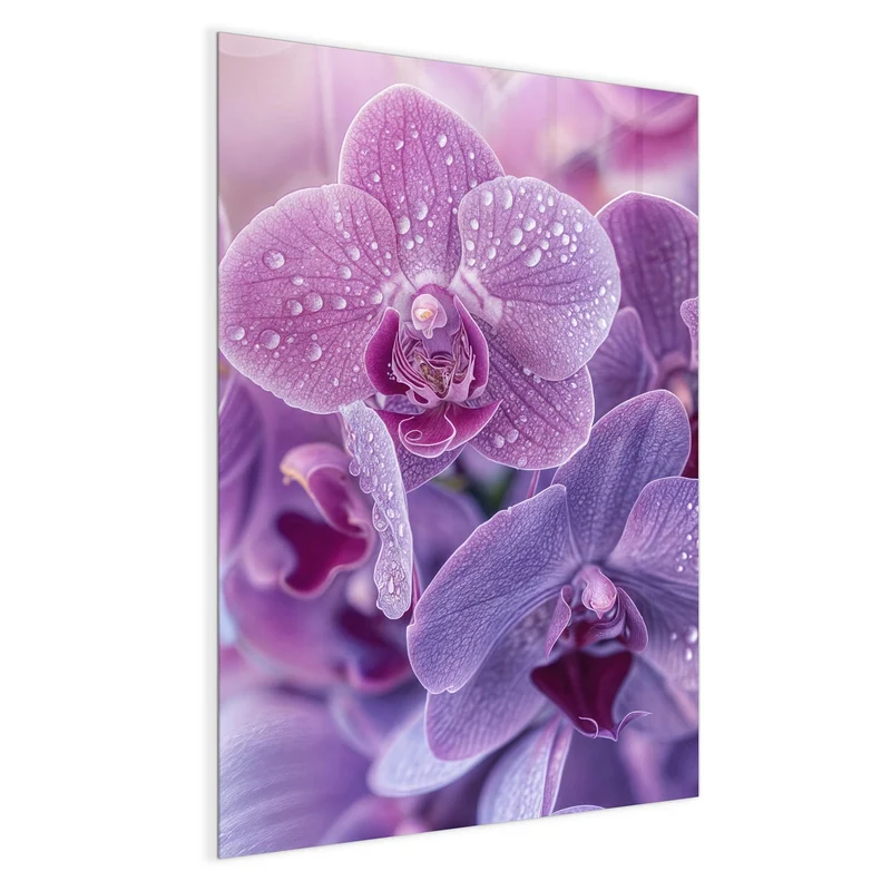 Magnettafel - Orchideenblüten