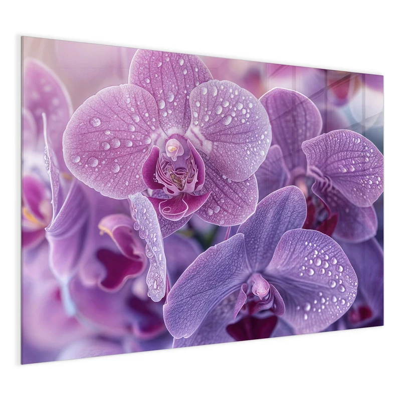 Magnettafel - Orchideenblüten