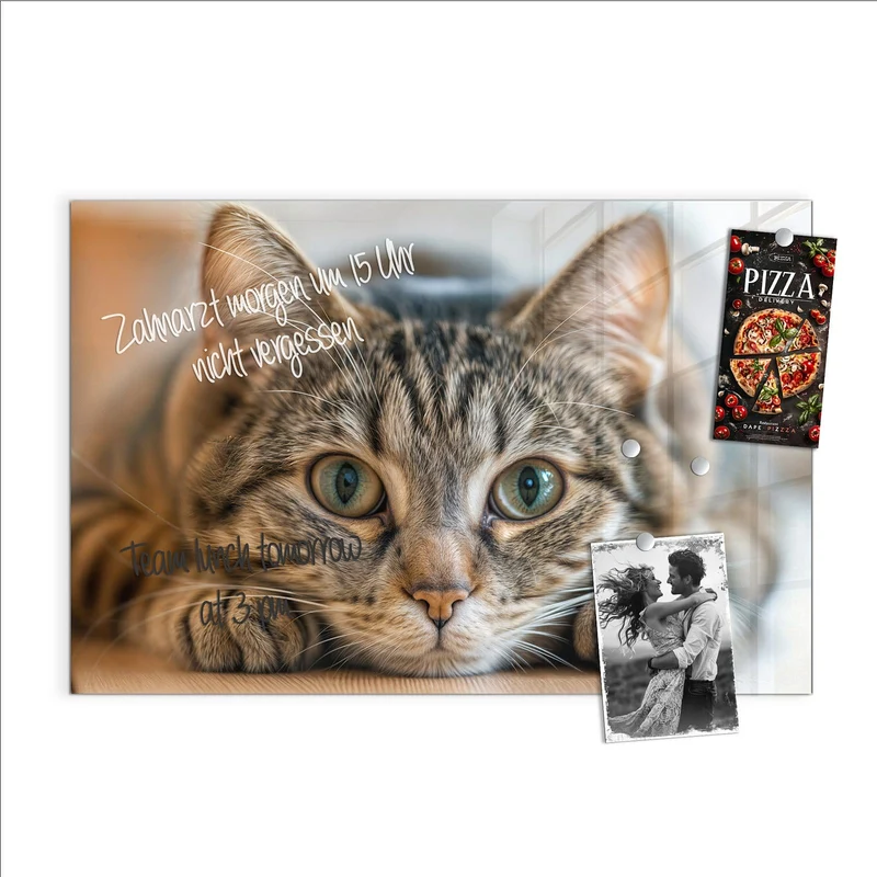 Magnettafel - Liegende Katze