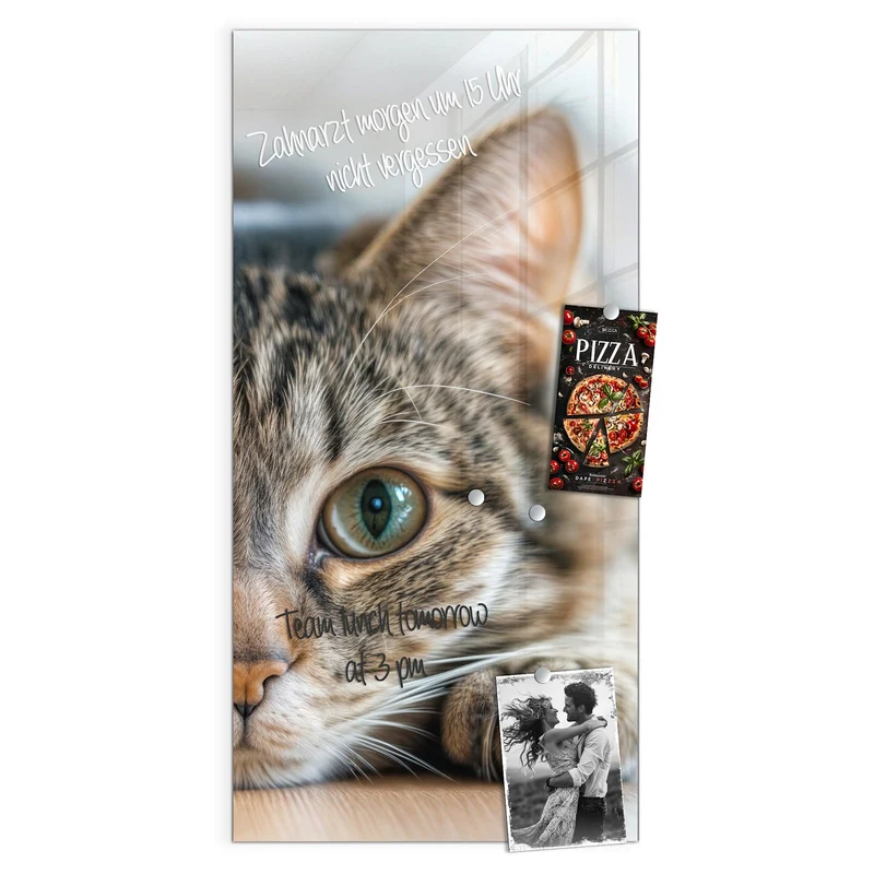 Magnettafel - Liegende Katze