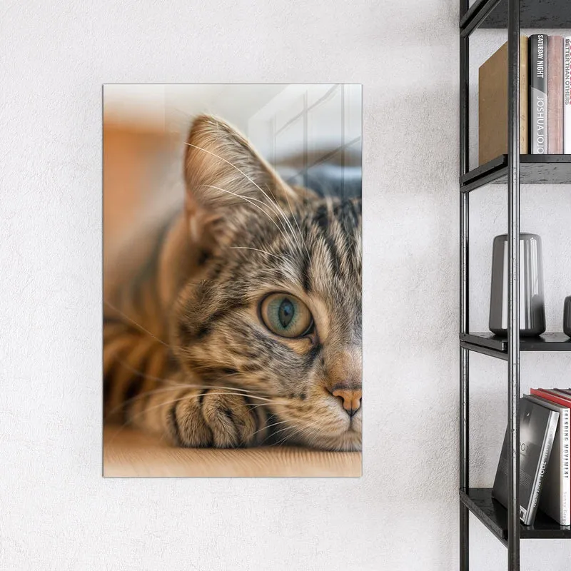 Magnettafel - Liegende Katze