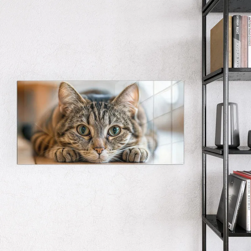 Magnettafel - Liegende Katze