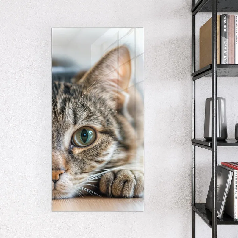 Magnettafel - Liegende Katze