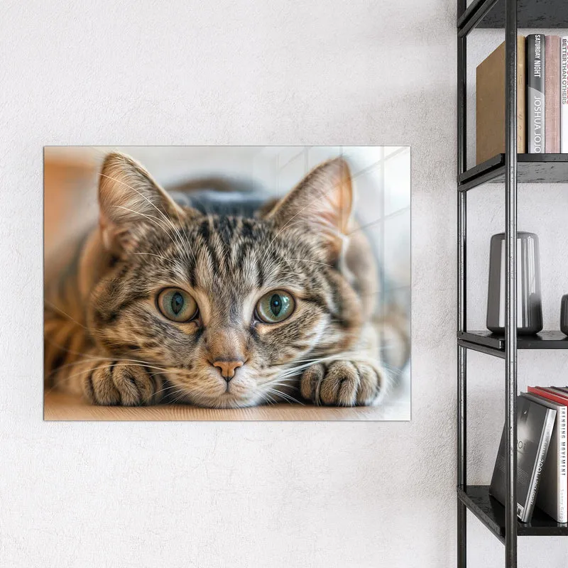Magnettafel - Liegende Katze