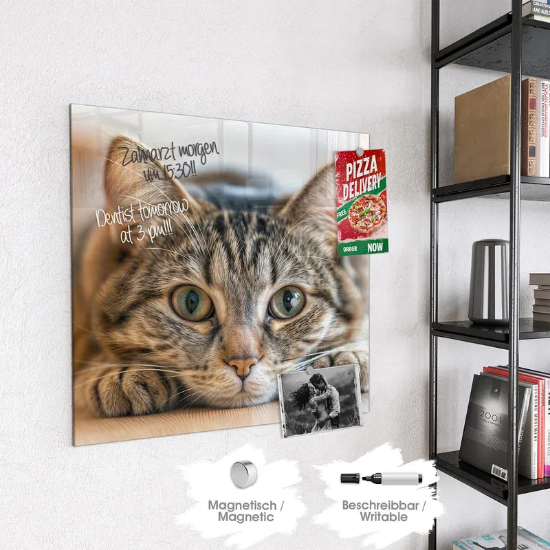 Magnettafel - Liegende Katze