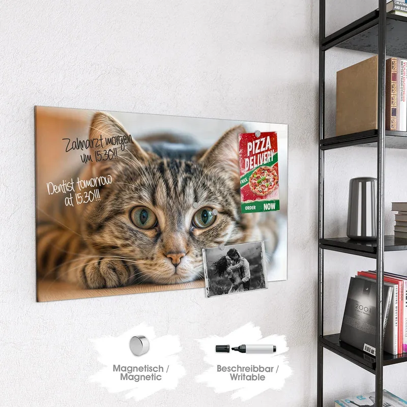 Magnettafel - Liegende Katze