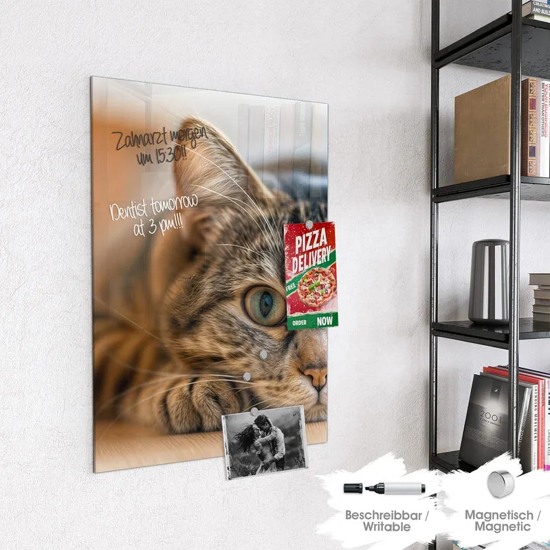 Magnettafel - Liegende Katze