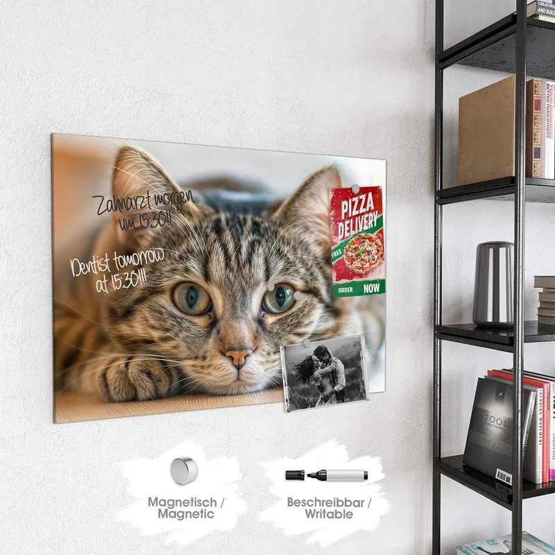Magnettafel - Liegende Katze
