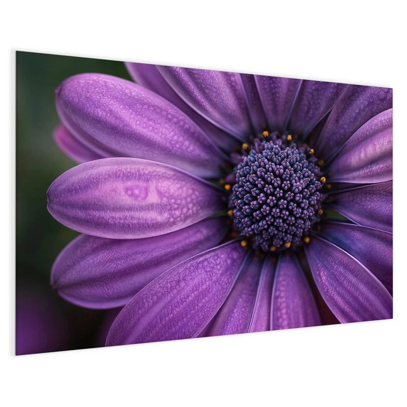 Magnettafel - Violette Samtblüte