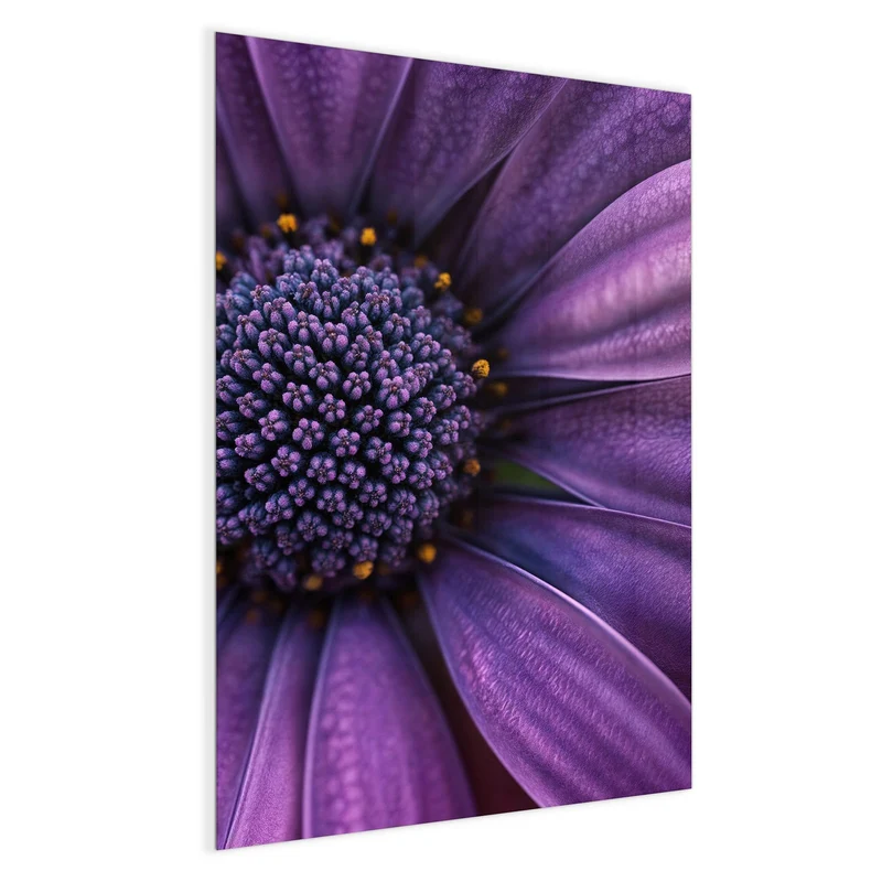 Magnettafel - Violette Samtblüte